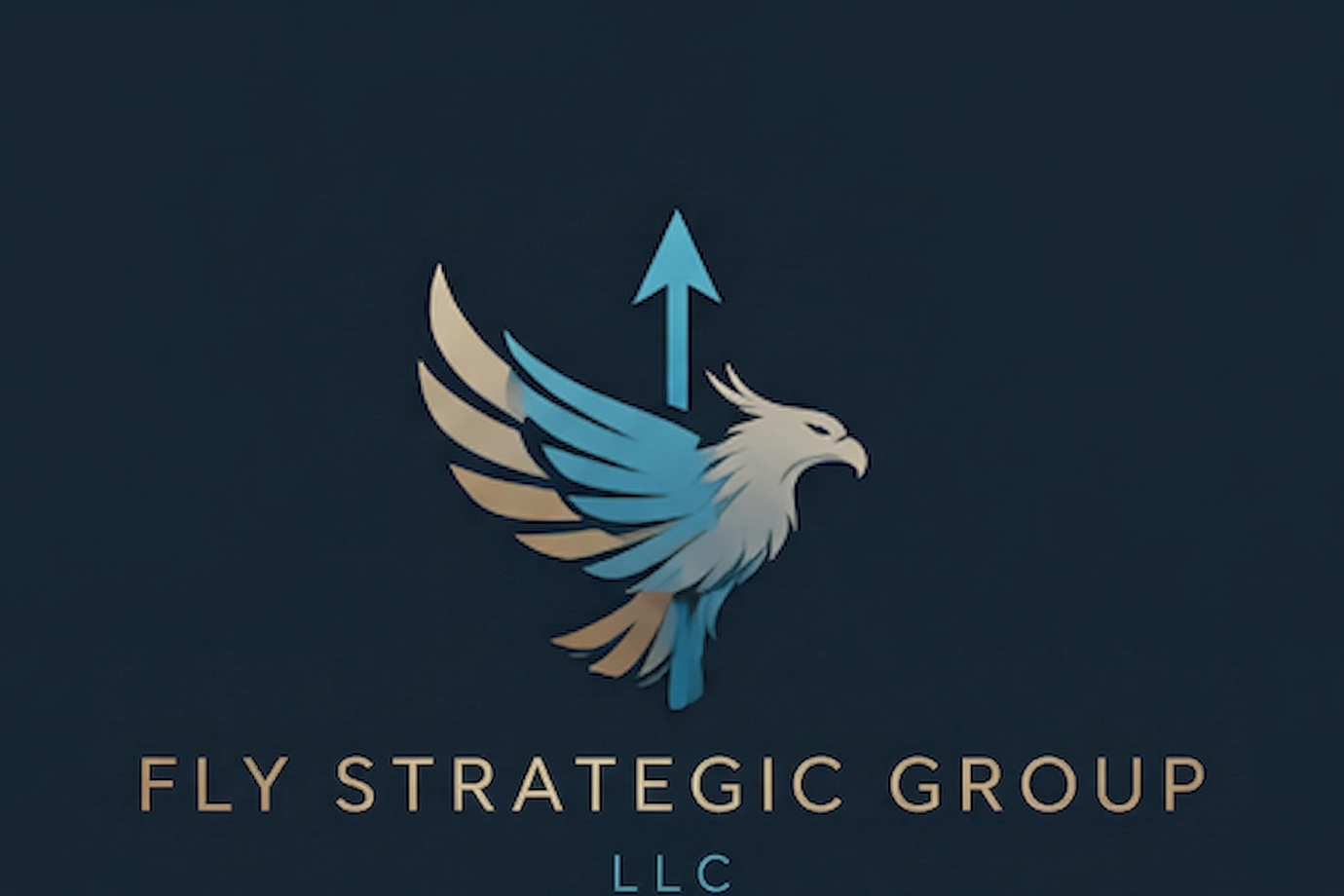 Fly Strategic Group LLC